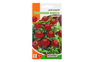 Насіння Квіти Цинiя Вишневий король бордова махрова 0,5г Яскрава