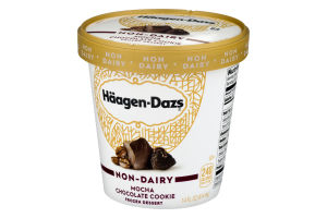 Haagen-Dazs Non-Dairy Frozen Dessert Mocha Chocolate Cookie