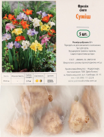 Бульба Фрезія Сінгл суміш 5шт Яскрава