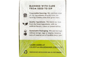 Celestial Seasonings Sleepytime Tea Sleepytime Green Berry Pomegranate - 20 CT