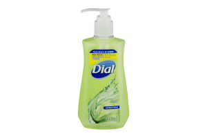 Dial Antibacterial Hand Soap With Moisturizer Aloe