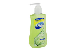 Dial Antibacterial Hand Soap With Moisturizer Aloe
