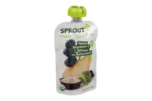 Sprout Organic Toddler Puree Apple Blackberry & Spinach with Buckwheat
