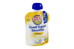 Earth's Best Organic Stage 2 Greek Yogurt Smoothie Banana