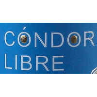 Condor Libre