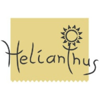 Helianthus