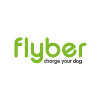 Flyber