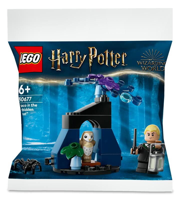 Конструктор City Драко у забороненому лісі 30677 Lego