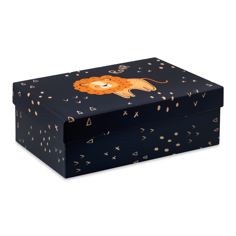 Коробка подарункова Чаріна країна 23*16*8,5см НК-83 Екстрафікс