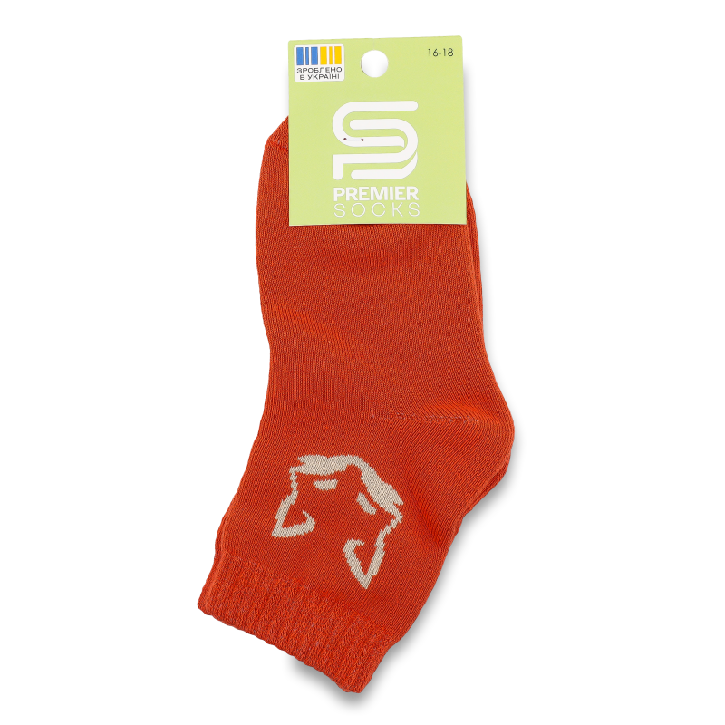 Шкарпетки дитячі махра класичні р.16-18 Premier Socks