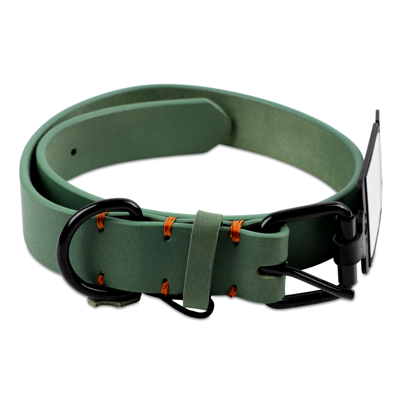 Нашийник д/собак Леано зелений шкіра 30мм 52-62см Flamingo