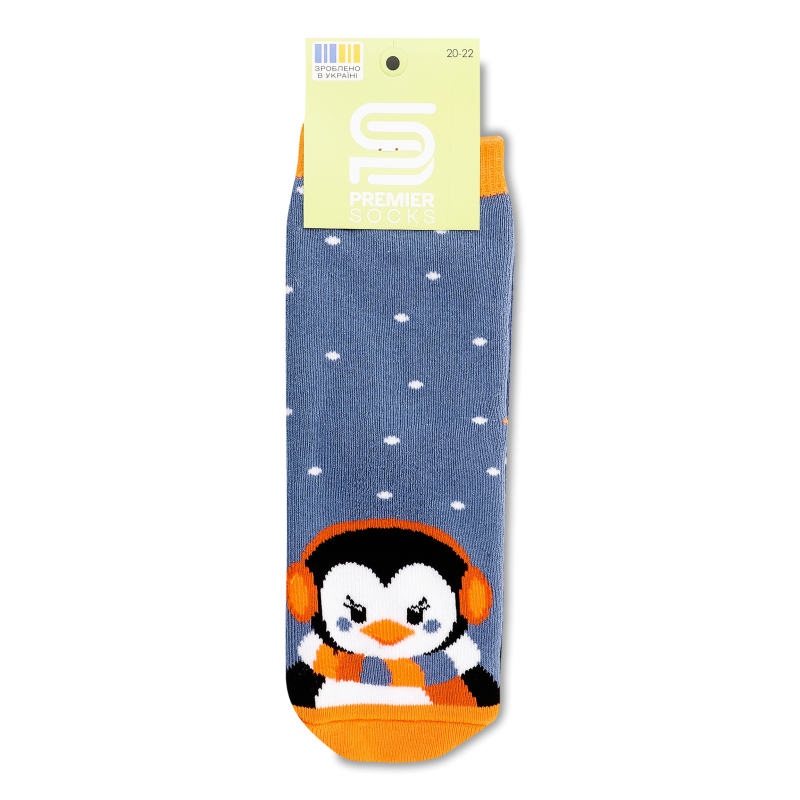 Шкарпетки дитячі махра з малюнком класичні р.20-22 Premier Socks