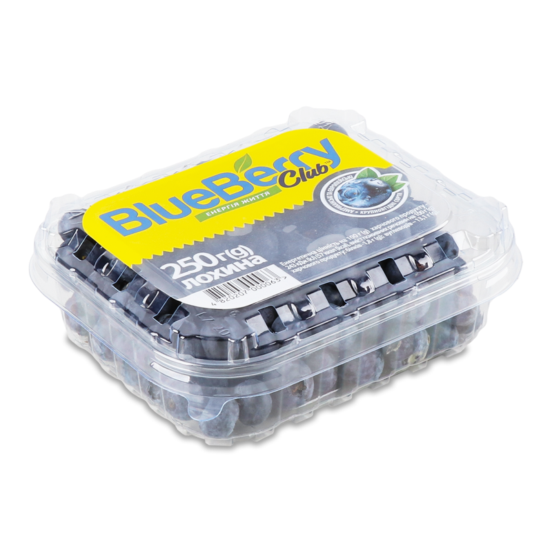 Лохина свіжа 250г