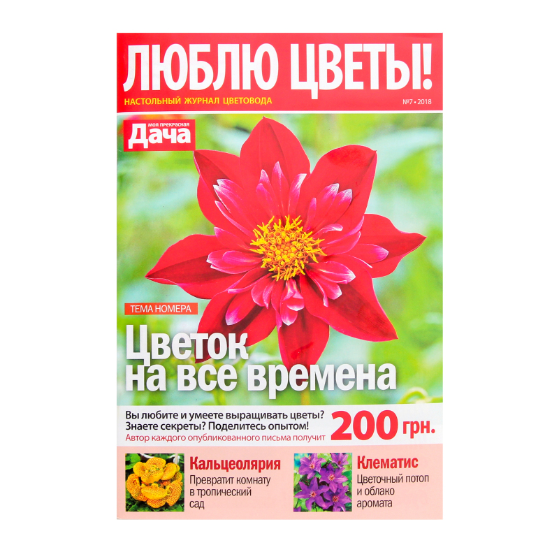 Интернет Магазин Любимые Цветы