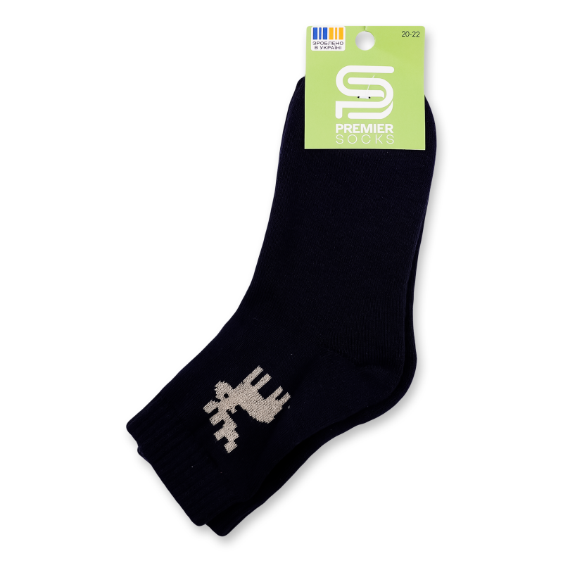 Шкарпетки дитячі махра класичні р.20-22 Premier Socks