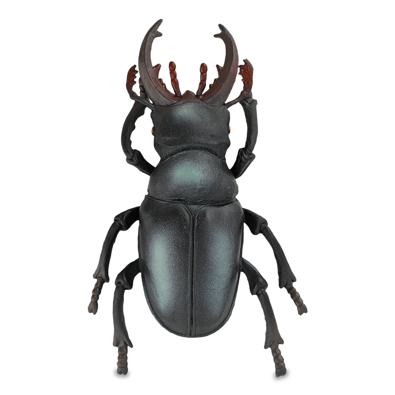 Іграшка Комаха в асортименті