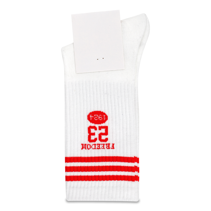 Шкарпетки чоловічі з смужками класичні р.38-45 в асортименті FHF24111621