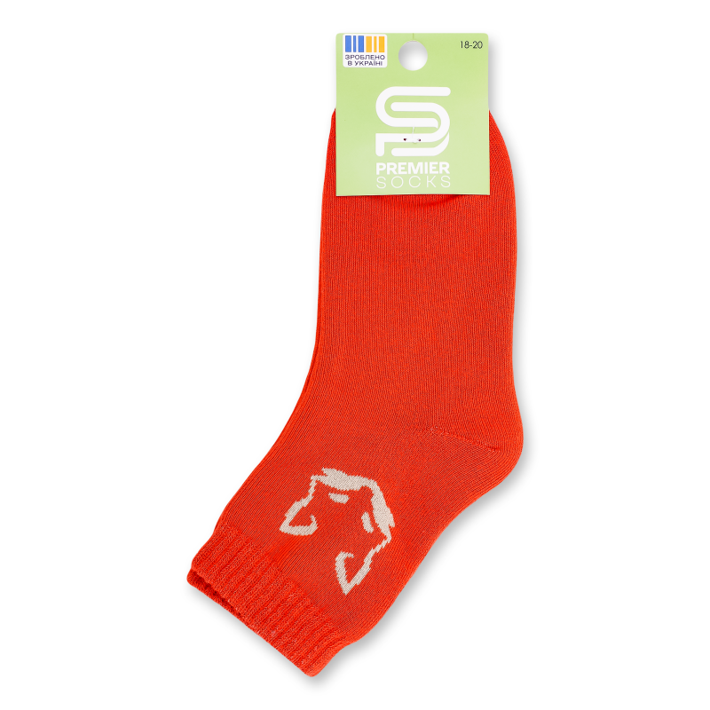 Шкарпетки дитячі махра класичні р.18-20 Premier Socks